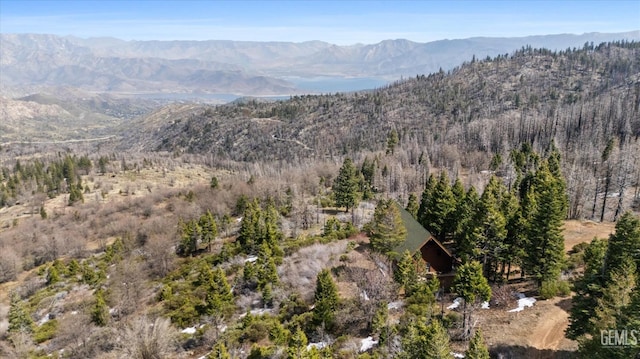 view of mountain feature