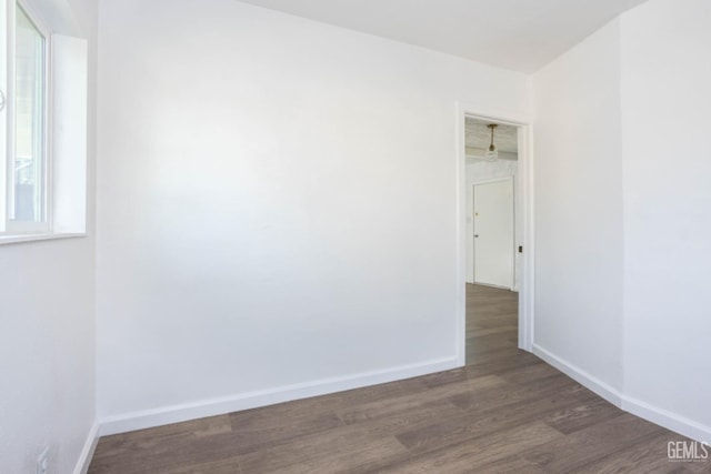 empty room featuring dark hardwood / wood-style flooring