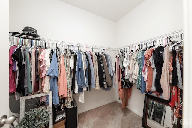 walk in closet featuring carpet floors