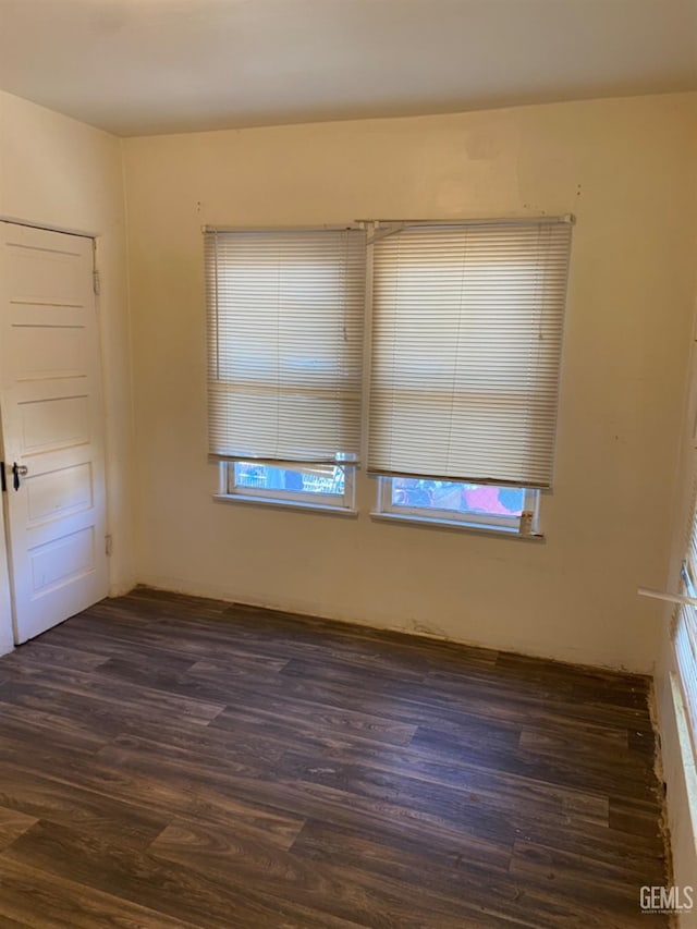 spare room featuring a healthy amount of sunlight and dark hardwood / wood-style floors