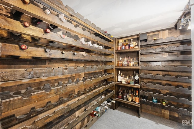 wine area featuring carpet and wood walls