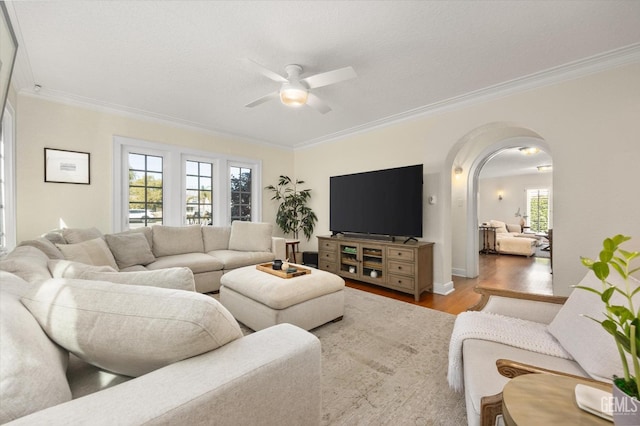 living room featuring arched walkways, crown molding, ceiling fan, and wood finished floors