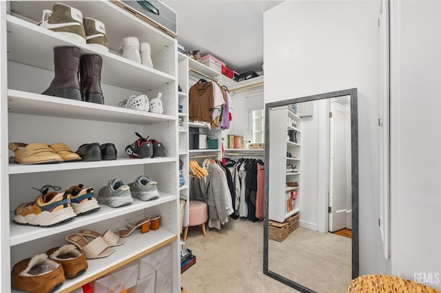 spacious closet with light carpet