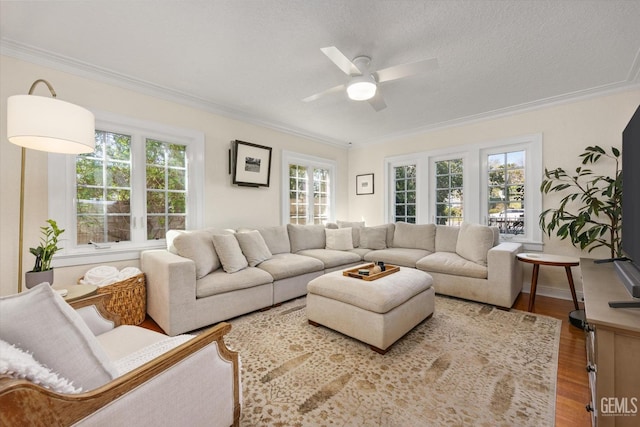 living room with ceiling fan, a textured ceiling, wood finished floors, and crown molding