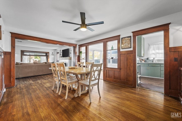 dining room with a ceiling fan, a wealth of natural light, dark wood-style flooring, and a wainscoted wall