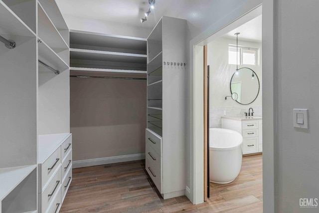 spacious closet with wood finished floors