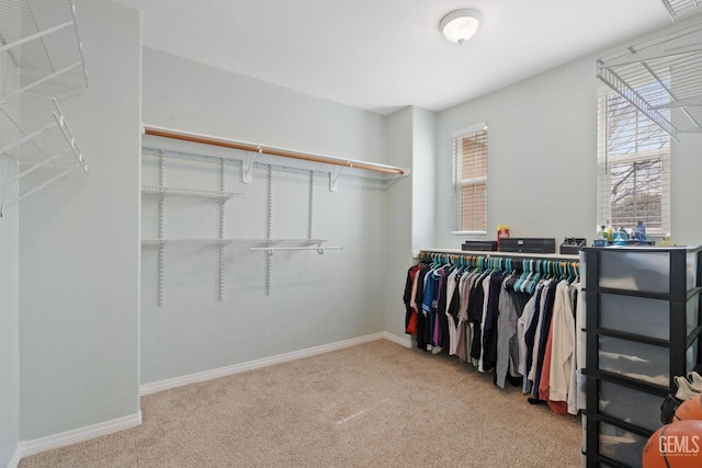 walk in closet with carpet