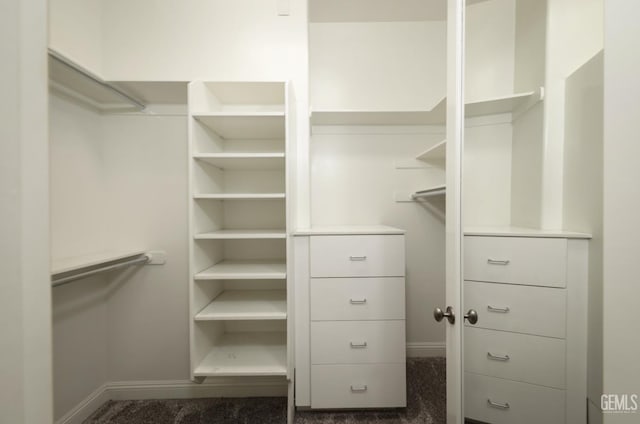 12603 Clay Creek Ct, Bakersfield, CA 93312 - view of spacious closet