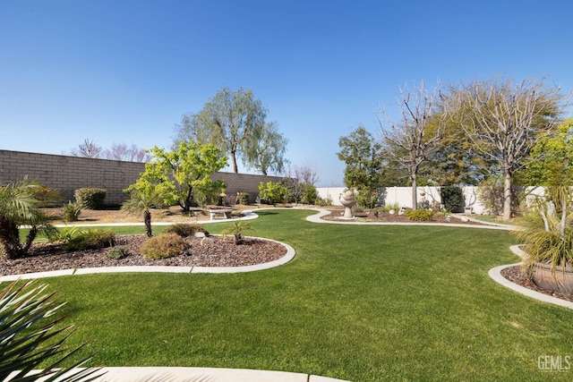 view of yard featuring a fenced backyard