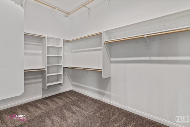 spacious closet with dark carpet