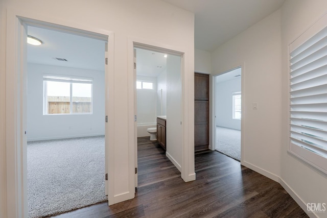 corridor featuring plenty of natural light and dark hardwood / wood-style floors