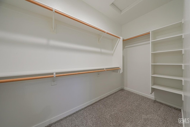 walk in closet featuring carpet