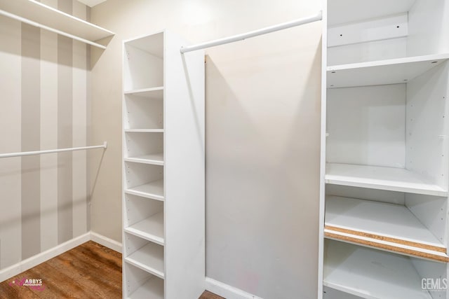 spacious closet with hardwood / wood-style floors