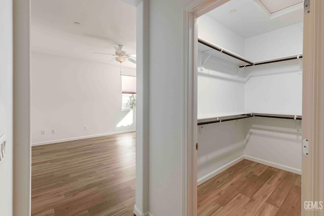 14209 Boon Way, Bakersfield, CA 93311 - spacious closet with ceiling fan and light wood-type flooring
