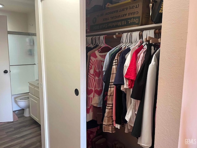 4747 W Iris Ave, Visalia, CA 93277 - view of closet
