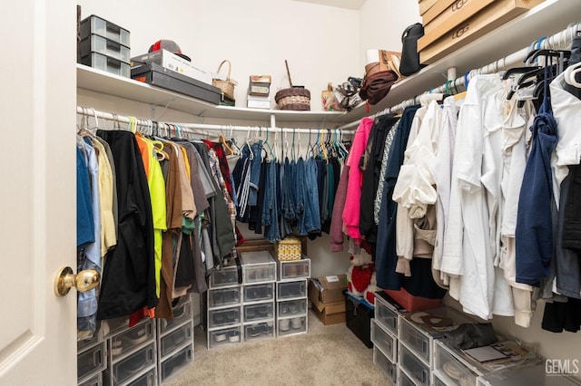 walk in closet featuring carpet