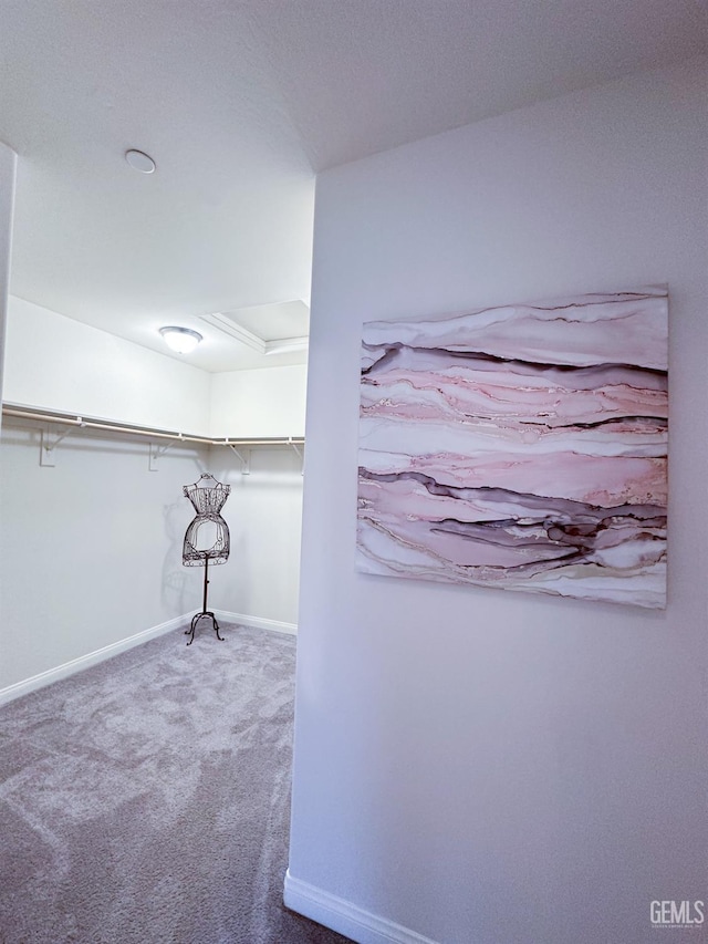 9400 Carriage Creek Ct, Bakersfield, CA 93311 - walk in closet with carpet flooring