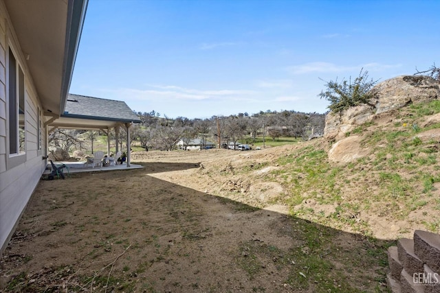 view of yard featuring a patio area