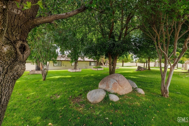 view of grassy yard