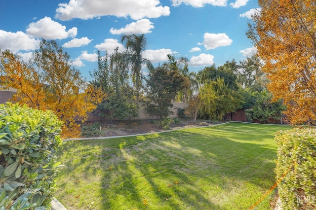 view of yard with a fenced backyard