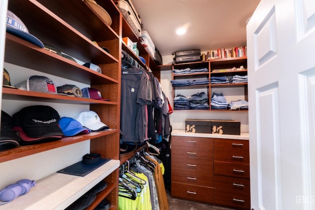 view of spacious closet