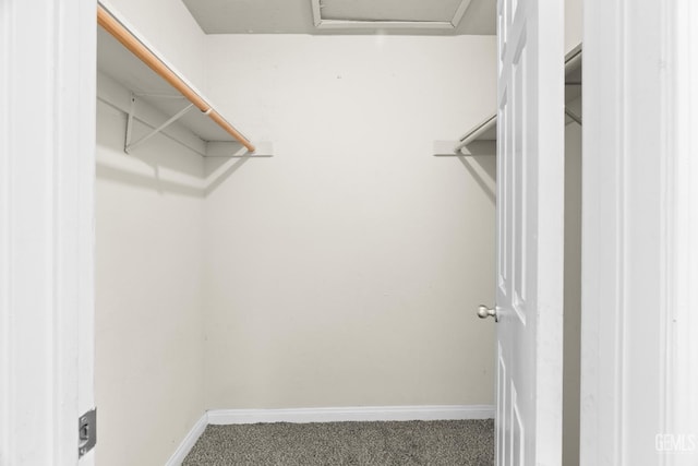 spacious closet with carpet floors