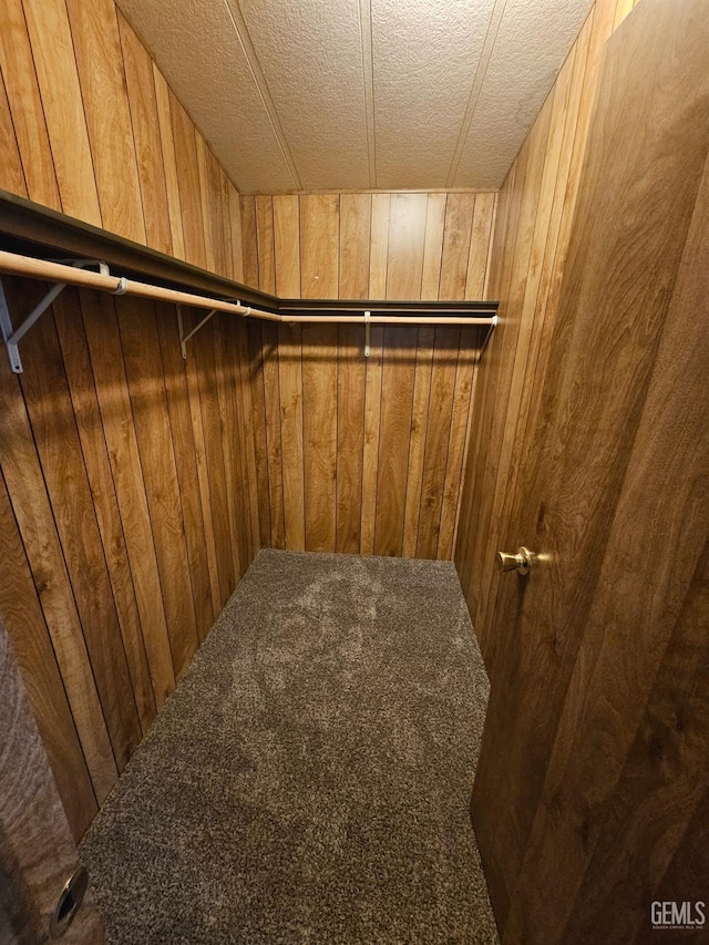 spacious closet featuring carpet