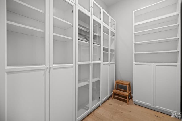 walk in closet with light hardwood / wood-style flooring