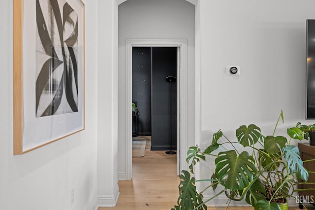 corridor with light wood-type flooring