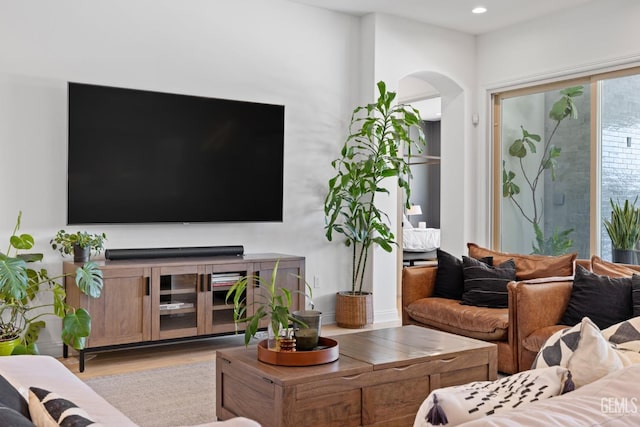 living room featuring light wood-type flooring