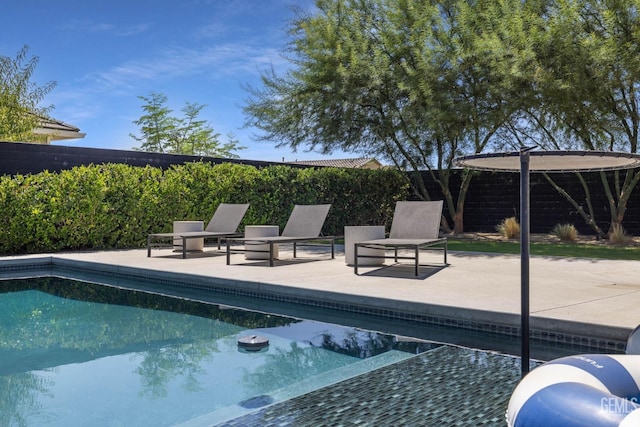 view of pool with a patio area