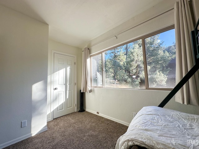 2305 Askin Ct, Pine Mountain Club, CA 93222 - bedroom featuring baseboards, carpet floors, and a textured wall