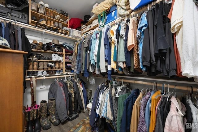 view of walk in closet