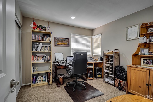 home office featuring carpet floors