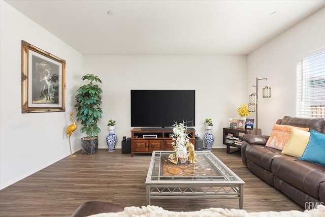 living room with dark wood-type flooring