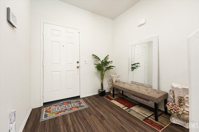 foyer entrance featuring dark wood-type flooring