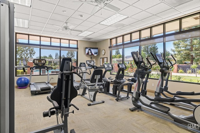 3010 Tea Rose St, Bakersfield, CA 93311 - exercise room featuring ceiling fan, carpet, and plenty of natural light