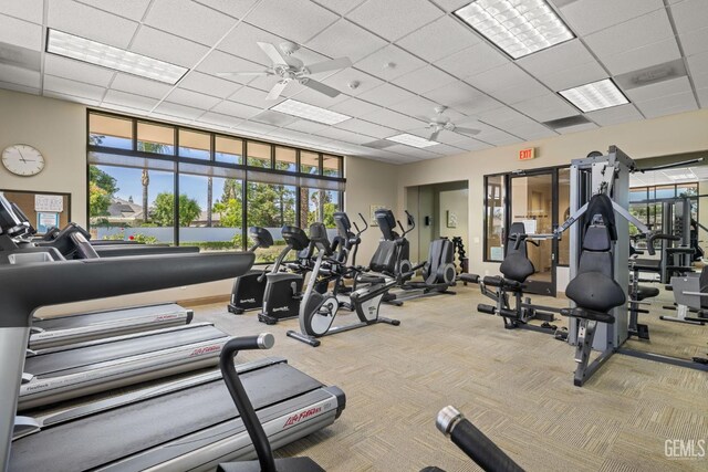 3010 Tea Rose St, Bakersfield, CA 93311 - workout area with a ceiling fan, carpet flooring, and a paneled ceiling