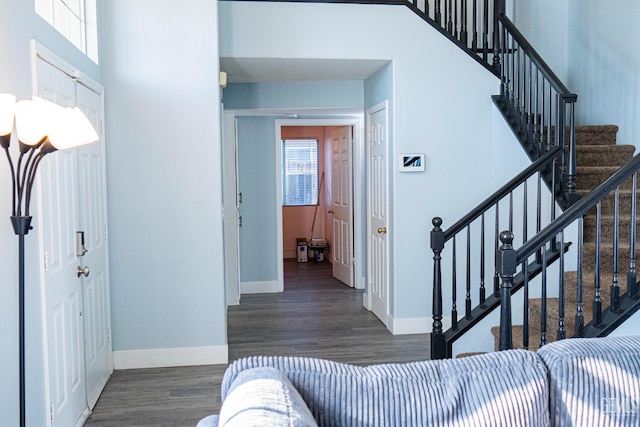 foyer with dark hardwood / wood-style floors