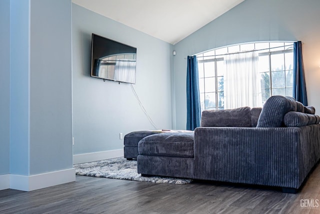 living room with dark hardwood / wood-style floors and lofted ceiling