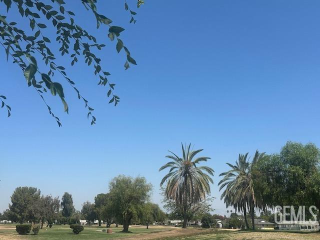 6405 Desert Hills Ave, Bakersfield, CA 93309 - photo 23