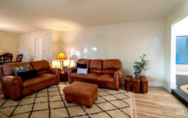 living room featuring light hardwood / wood-style flooring