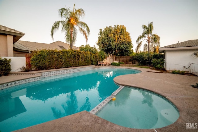 view of swimming pool with a patio