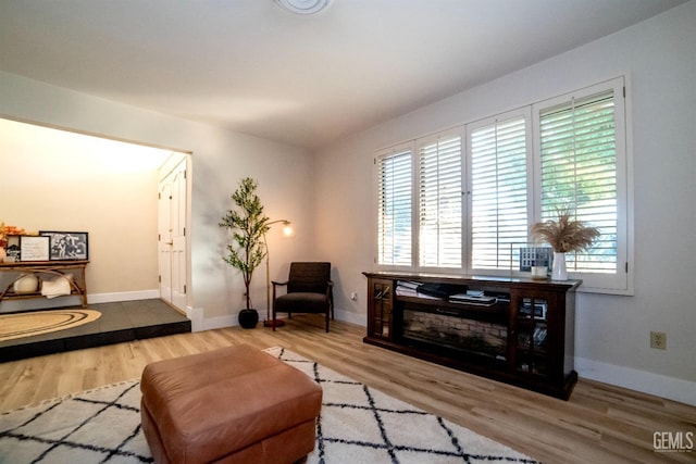 living room with wood-type flooring