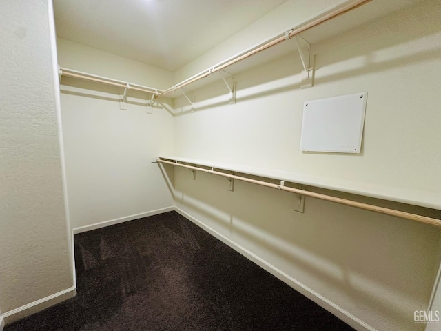5910 Bogart Dr, Bakersfield, CA 93313 - spacious closet with carpet
