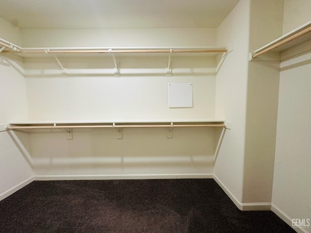 5910 Bogart Dr, Bakersfield, CA 93313 - spacious closet featuring carpet floors