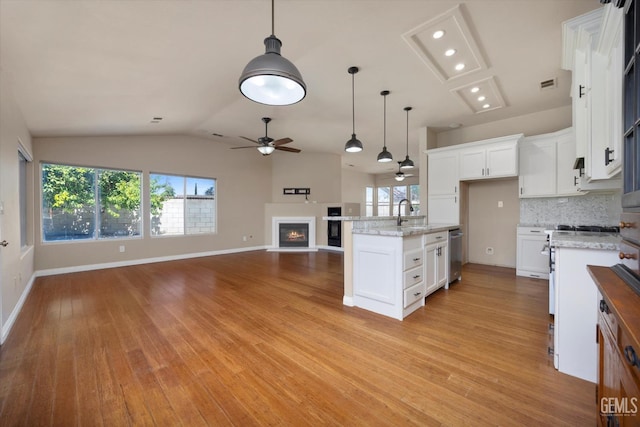 10318 Roehampton Ave, Bakersfield, CA 93312 - kitchen featuring open floor plan, ceiling fan, dishwasher, tasteful backsplash, and a glass covered fireplace