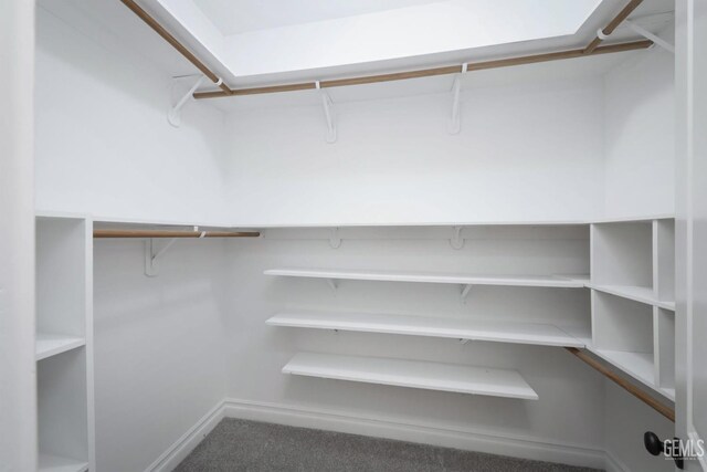5507 Via Venezia, Bakersfield, CA 93306 - walk in closet featuring carpet floors