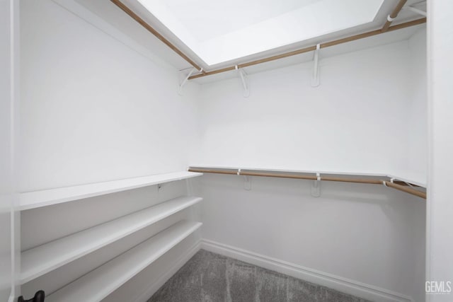 5507 Via Venezia, Bakersfield, CA 93306 - spacious closet with carpet flooring