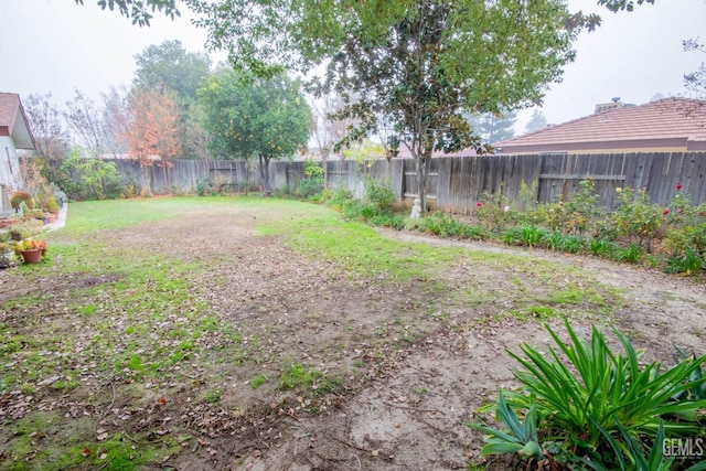 view of yard with a fenced backyard